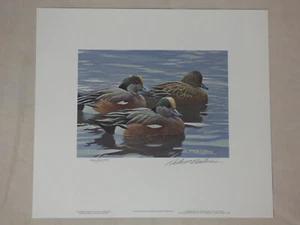 Robert  Bateman 1990 Texas Duck Stamp and Lim Edition Signed Print  Wigeons  - Picture 1 of 7