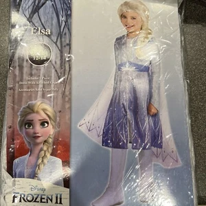 Frozen 2 Elsa Disney Halloween Costume, Size Child Large 12-14. Dress With Cape - Picture 1 of 12