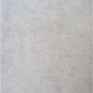 NEU 12 RAUE UMGEBUNG PADS FÜR EAGLE 5000 - ERSATZTEILE FÜR ECOQUEST AIR  - Bild 1 von 2