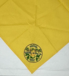 Vintage BSA Boy Scouts America Neckerchief-Del-Mar-Va Nanticoke Rodney Council - Picture 1 of 4
