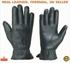 WOMENS LADIES TOUCH SCREEN REAL LEATHER GLOVES THERMAL LINED  WINTER SIZE S/L