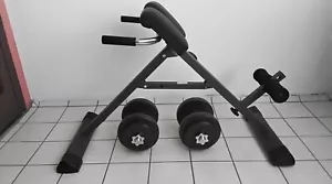 Rückentrainer/Ganzkörpertrainer Finnlo neuwertig. - Bild 1 von 8