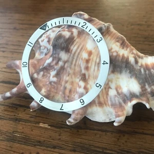 Inserto de bisel de doble tiempo de acero inoxidable para tortuga Seiko SRP ~ vendedor de EE. UU. + envío rápido - Imagen 1 de 9