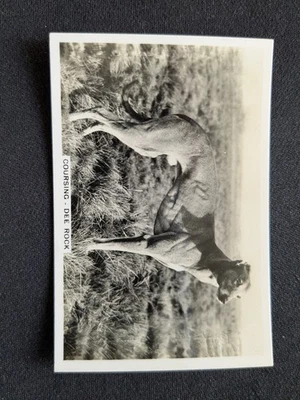 1935 Pattreiouex Sporting Events & Stars Card # 47 Dee Rock (EX/NM) - Image 1 of 3