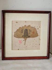 North Temple Vintage Pressed GINKGO Leaf 1989 Artwork 8x8" Framed w Glass Nice - Picture 1 of 8