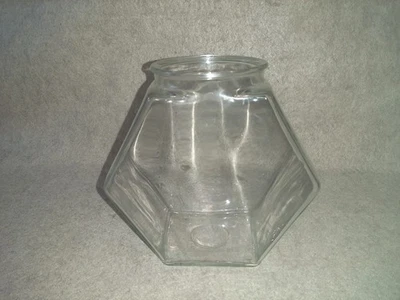 Pecera hexagonal de vidrio vintage para acuario pequeños animales acuáticos o peces beta Foto 1 de 4