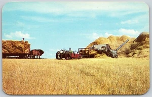 Greetings From Reston Manitoba Western Canada Threshing Scene Postcard - Imagen 1 de 2
