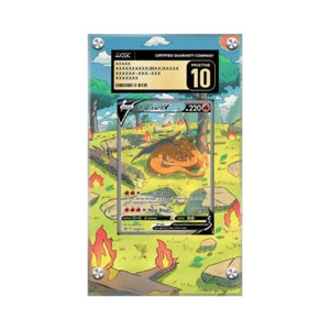 Charizard SWSH 260 - Pokémon CGC Extended Artwork Protective Card Display Case - Picture 1 of 3
