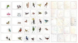 Planner, bullet journal, diary, scrapbooking stickers with bird theme - Picture 1 of 8