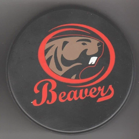 Bemidji State Beavers HOOTERS Hockey Puck NCAA Niagara Owl Hooters & Beavers OMY Cover