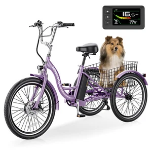 Electric Tricycle Adult 24" Electric Tricycle with Removable Battery & Charger - Picture 1 of 26