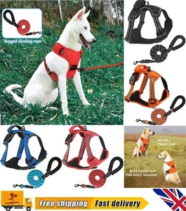  Arnés ajustable sin tirón para mascotas perros + correa de plomo para perros pequeños grandes - Imagen 1 de 34