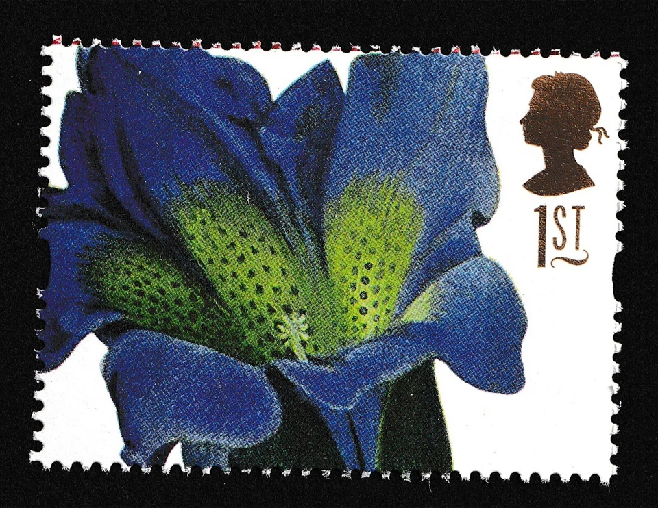 1997 1st Gentiana Acaulis by Georg Ehret. Greetings. Flower Paintings. SG 1955 - Image 1 of 1