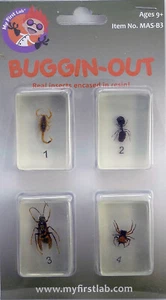 My First Lab, Buggin-Out Micro Fun Bug Set C&A 00111 - Imagen 1 de 3