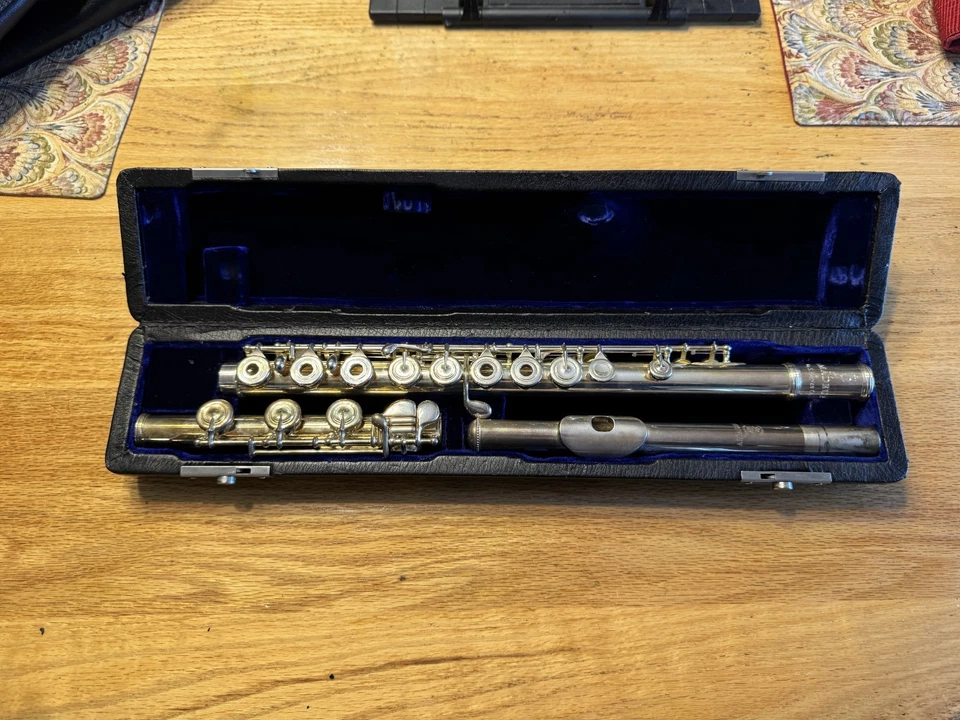 Flauta Haynes Amadeus AF900 número 4209, plata de ley, pie G y B Foto 1 de 4