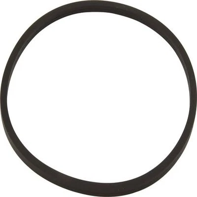 Junta tórica cuadrada de repuesto Peterson Fluid Systems 09-0020 Foto 1 de 3