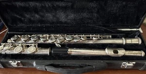 Flauta usada vintage en estuche envío gratuito en Estados Unidos - Imagen 1 de 1