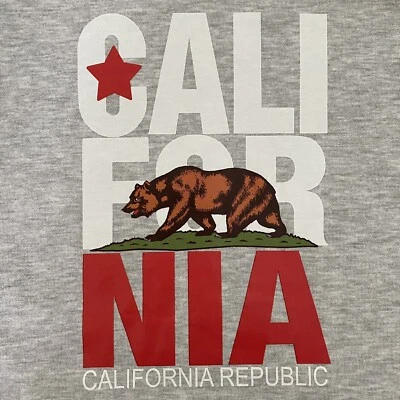 NUEVO CON ETIQUETAS California Republic Para Hombres Sudadera con Capucha Mediana Manga Larga Pullover Bandera Símbolo Gris Foto 1 de 4