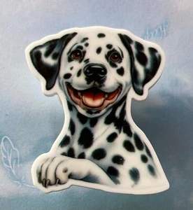Acrylic fridge magnet Dalmation dog nice strong hold - Picture 1 of 2