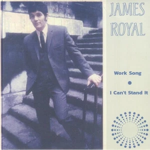 James Royal Work Song (Vinyl) 7" Single - Picture 1 of 1