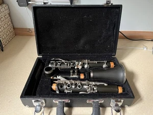 Clarinet B flat for beginner/intermediate Mouthpiece and Case Used - Picture 1 of 4
