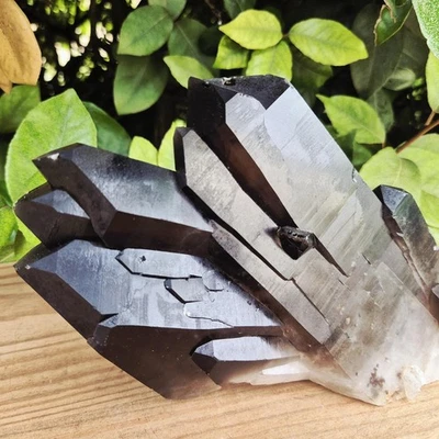 Quartz Fumé Morion - Minas Gerais, Brésil - Photo 1/4