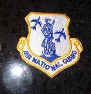 TOPPA USAF, GUARDIA NAZIONALE AEREA, COLORE - Foto 1 di 1