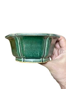 Shibakatsu - Green Glazed Traditional Flower Style Bonsai Pot (6-1/4" wide) - Picture 1 of 7