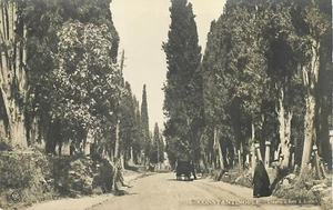 CONSTANTINOPLE, TURKEY - HORSE-DRAWN - WOMAN ON ROAD - OLD POSTCARD VIEW - Picture 1 of 2
