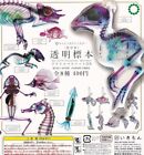 Ikimon world transparent specimens acrylic All 8 variety set Gashapon toys