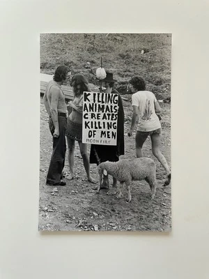 Fotografía de Woodstock firmada por el Barón Wolman 1969 Foto 1 de 2