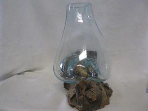 Cohasset Medium Skulptur aus geschmolzenem Glas & Treibholz für Terrarium, Vase, Aquarium - Bild 1 von 8