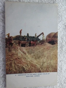 Harvesting In The Great Wheat Fields Of Manitoba, Canada Postcard - Picture 1 of 2