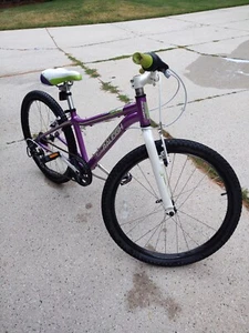 2015 Raleigh Ivy 21 Speed Mountain Bike For Kids 9-12 Years - Picture 1 of 12
