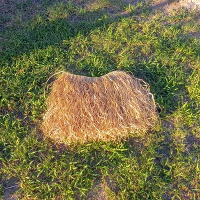 Falda de rafia ajustable con cinturón para danza hula, tahitiana y hawaiana Foto 1 de 4
