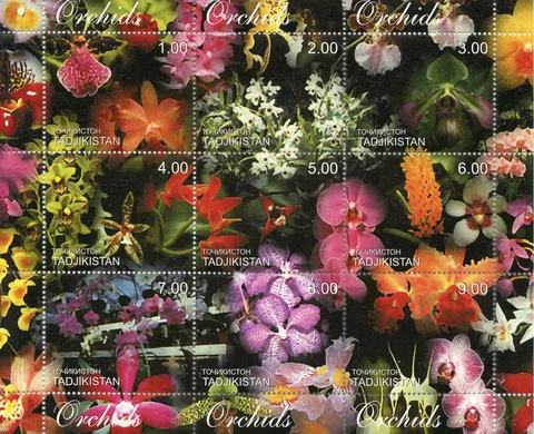 Tajikistan Orchids Stamps 2000 MNH Orchid Flowers Flora Nature 9v M/S Cover