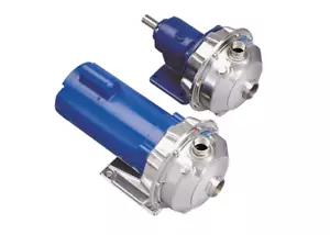 Goulds 1ST1F9C4 NPE Series SS Centrifugal Pump - Picture 1 of 1