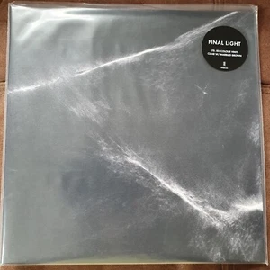 Final Light - Clear + Brown Marble Vinyl - Picture 1 of 3