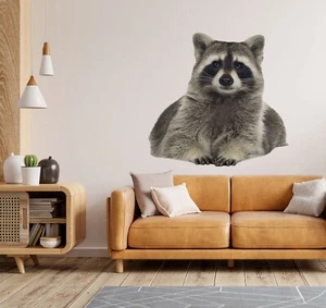 3D Süßer Waschbär H817 Tier Wallpaper Wandbild Poster Wandaufkleber Abziehbild - Bild 1 von 6
