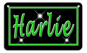 Placa de identificación personalizada tamaño bicicleta metal personalizar regalos niños niñas flores bicicletas - Imagen 1 de 9