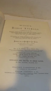 1875 BUCH "HOLZBIBELTIERE" - Bild 1 von 9