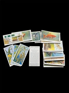 Wills Cigarette Cards POND & AQUARIUM (1st Series Unissued) Pick your Card/s - Picture 1 of 49