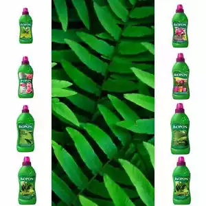 PLANT FOOD FERTILISER GREEN PLANTS/ ORCHIDS WIDE SELECTION HIghly Effective - Picture 1 of 34