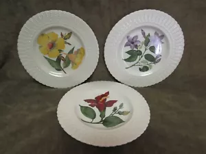 Royal Cauldon Ironstone Fiori dei Caraibi Piatto lotto di 3 pezzi - Foto 1 di 8