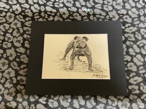 Original Sketch Art By B W STANLEY , BULLDOG OR STAFFORDSHIRE BULL TERRIER 1913 - Picture 1 of 4