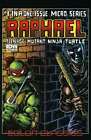 Teenage Mutant Ninja Schildkröten Farbklassiker: Raphael Micro-Serie #1 Sehr guter Zustand/nm; IDW