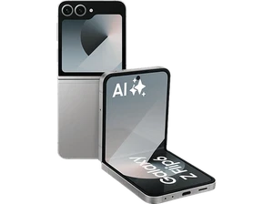 SAMSUNG Galaxy Z Flip6 256 GB Smartphone  6.7 Zoll Silver Shadow  Handy - Bild 1 von 1