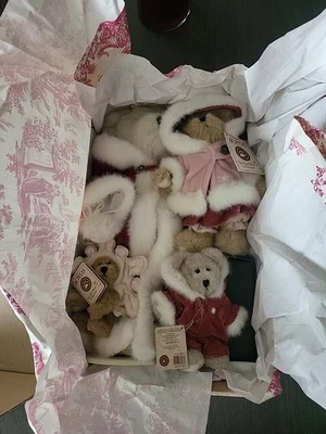 Edición Limitada Boyds Best Dressed Bears - Exclusivo de GENEVIEVE FROSTBEARY #99950V Foto 1 de 4