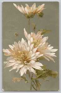 Tuck Chrysanthemums Postcard Flowers RAP Series 9190 1908 - Picture 1 of 3