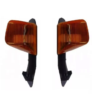 Pair of 2 OEM 12/24V Turn Signal Indicator Lamps for IVECO STRALIS & TRAKKER - Picture 1 of 7